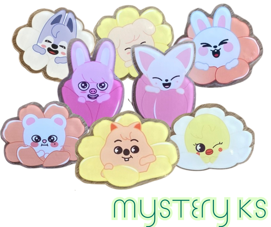 K-POP Stray Kids Popsocket Mystery 1 ks